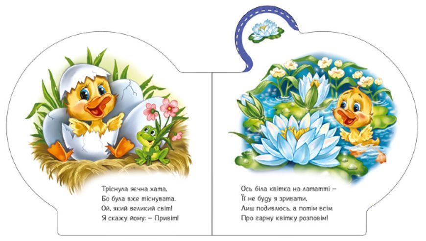 Книга "Все про всіх. Все про каченятко" Книга "Все про всіх. Все про каченятко" фото