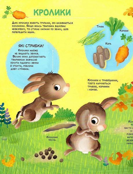Як живуть крихітні створіння Як живуть крихітні створіння фото