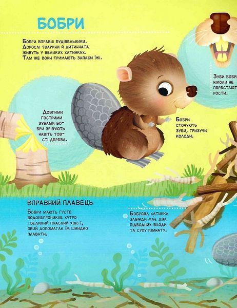 Як живуть крихітні створіння Як живуть крихітні створіння фото