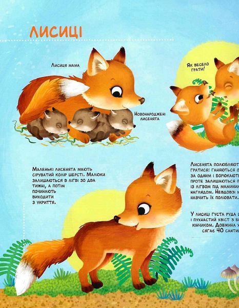 Як живуть крихітні створіння Як живуть крихітні створіння фото