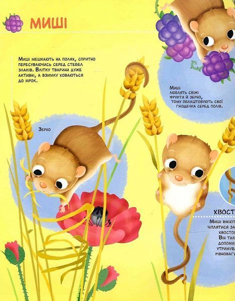 Як живуть крихітні створіння Як живуть крихітні створіння фото