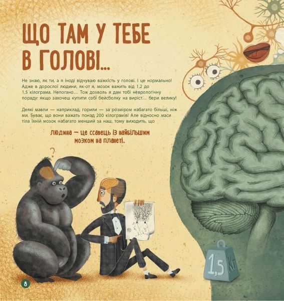 Книга "Як працює людський мозок" Книга "Як працює людський мозок" фото