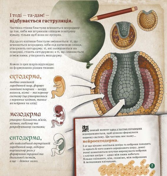 Книга "Як працює людський мозок" Книга "Як працює людський мозок" фото