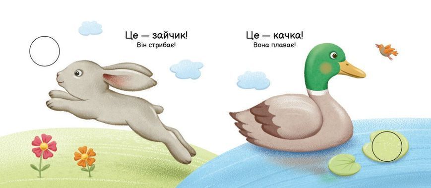 Книга "Моя книжка-розкладайка. Хто що вміє?" Книга "Моя книжка-розкладайка. Хто що вміє?" фото