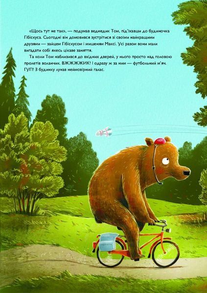 Книга "Заєць Гібіскус і велика сварка" Книга "ЗаєцьГібіскус і велика сварка" фото