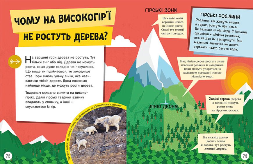 Довколапитань. Енциклопедія юних розумників Довколапитань. Енциклопедія юних розумників фото