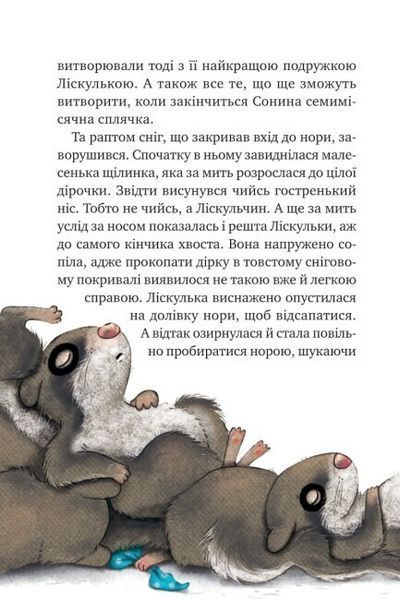 Маленька Соня в лісі різдвяних історій Маленька Соня в лісі різдвяних історій фото