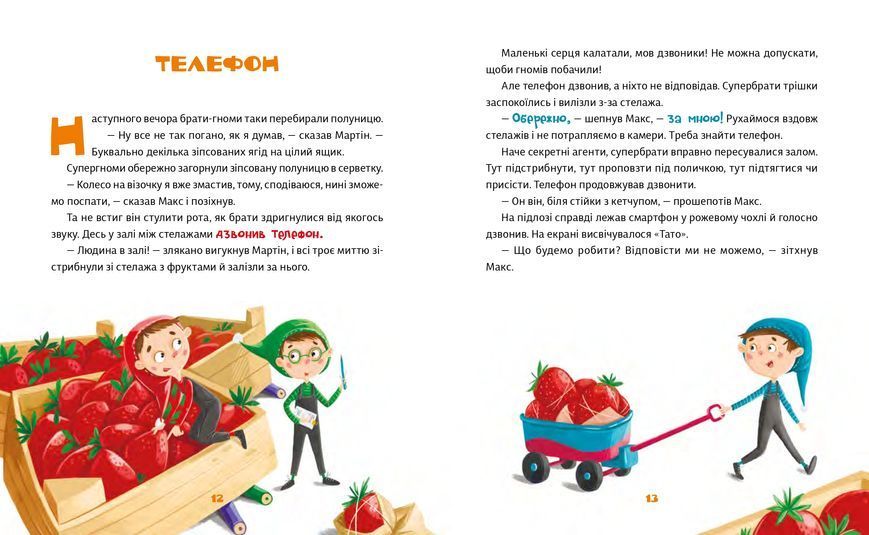 Книга "Малі гноми, мешканці великого супермаркету" Книга "Малі гноми, мешканці великого супермаркету" фото