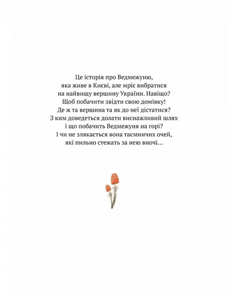 Книга "Ведмежуня мандрує в Карпати" Книга "Ведмежуня мандрує в Карпати" фото