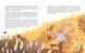 Книга "Медитативні історії надобраніч" Книга "Медитативні історії надобраніч" фото 3