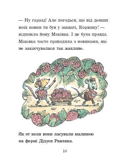Книга "Коржик і Маківка у парку розваг. Метью Корделл" Книга "Коржик і Маківка у парку розваг. Метью Корделл" фото