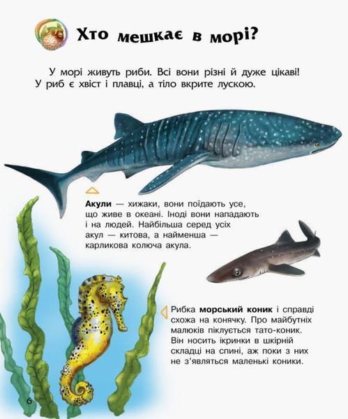 Енциклопедія дошкільника. Океани та моря Енциклопедія дошкільника. Океани та моря фото