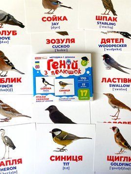 Геній з пелюшок. Птахи України Геній з пелюшок. Птахи України фото