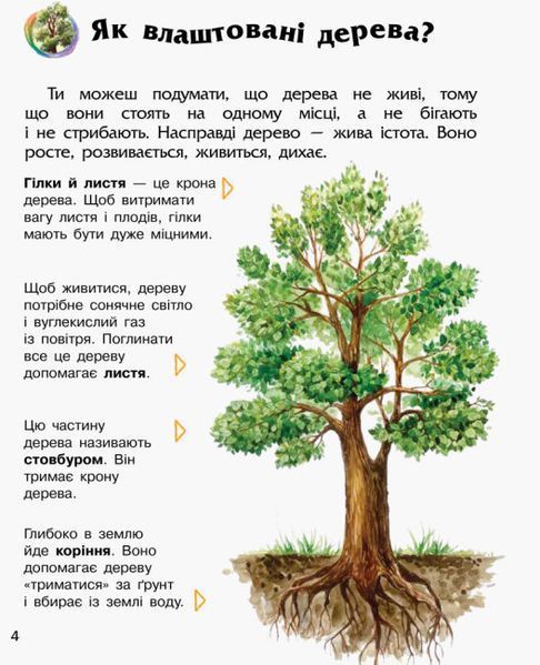 Енциклопедія дошкільника. Ліс Енциклопедія дошкільника. Ліс фото