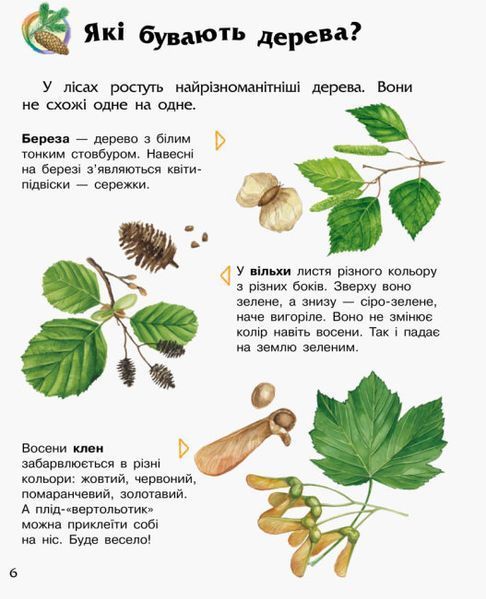 Енциклопедія дошкільника. Ліс Енциклопедія дошкільника. Ліс фото