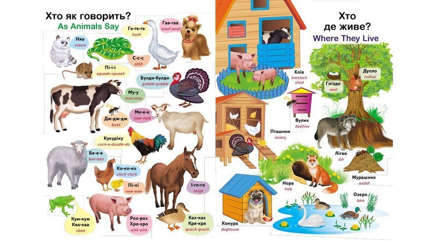 Книга "Перший словник малюка" Книга "Перший словник малюка" фото