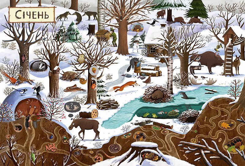 Рік у лісі. Книга-розглядалка Рік у лісі. Книга-розглядалка фото
