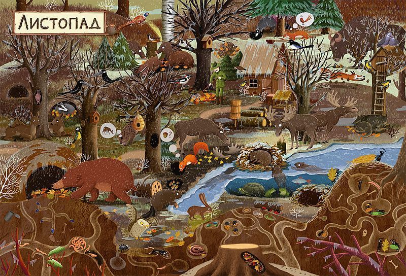 Рік у лісі. Книга-розглядалка Рік у лісі. Книга-розглядалка фото
