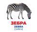 Геній з пелюшок. Тварини різних широт Геній з пелюшок. Тварини різних широт фото 3