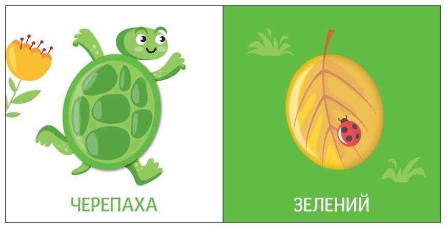 Яскравий світ. Кольори Яскравий світ. Кольори фото