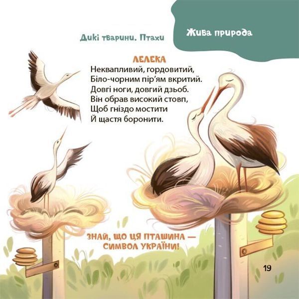 Книга "Матусина бібліотечка. Віршенята-загадки для малят. 3-5 років" Книга "Матусина бібліотечка. Віршенята-загадки для малят. 3-5 років" фото