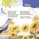 Книга "Матусина бібліотечка. Віршенята-загадки для малят. 3-5 років" Книга "Матусина бібліотечка. Віршенята-загадки для малят. 3-5 років" фото 9