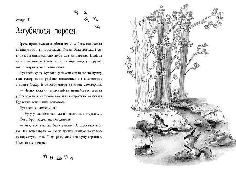 Книга "Ліс незвичайних тварин" Книга "Ліс незвичайних тварин" фото