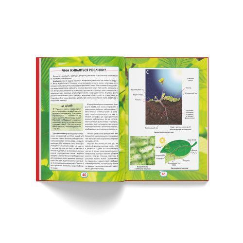 Книга.Ви маєте це знати.Усе про все Книга.Ви маєте це знати.Усе про все фото
