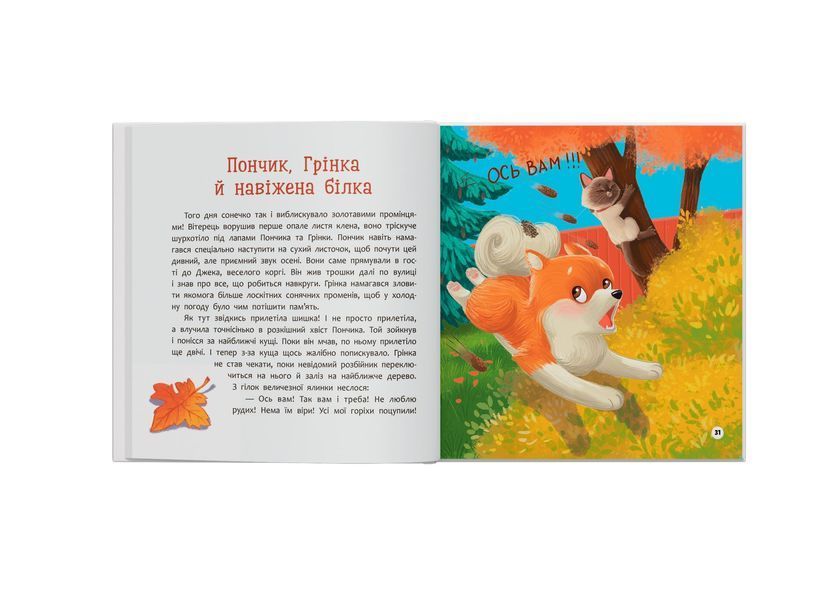 Книга "Хвостаті пригоди. Пончик та Грінка не бояться забіяк" Книга "Хвостаті пригоди. Пончик та Грінка не бояться забіяк" фото