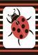Лапотунечка Лапотунечка фото 4
