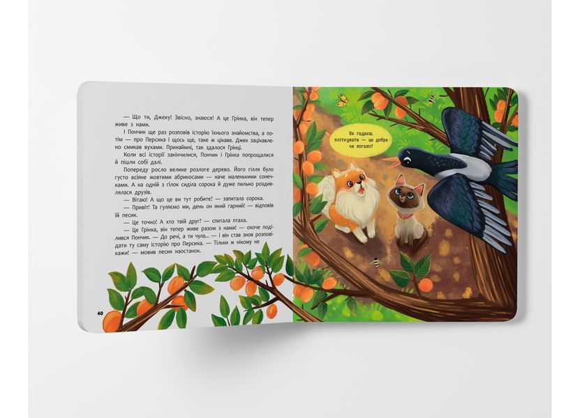 Книга "Хвостаті пригоди. Пончик та Грінка. Знайомство" Книга "Хвостаті пригоди. Пончик та Грінка. Знайомство" фото
