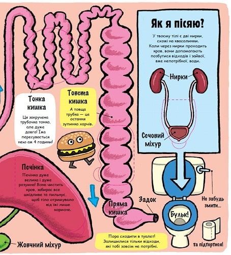 Книга "Маленькі дослідники. Моє дивовижне тіло" Книга "Маленькі дослідники. Моє дивовижне тіло" фото