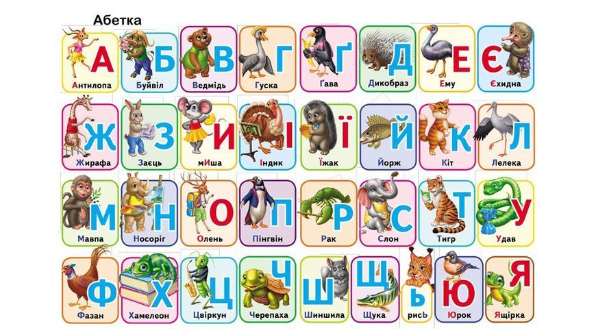 Книга "Перші знання малюка" Книга "Перші знання малюка" фото