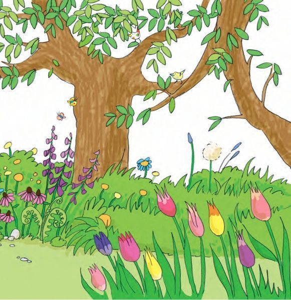 Книга " Бобо з бабусею і дідусем" Книга " Бобо з бабусею і дідусем" фото