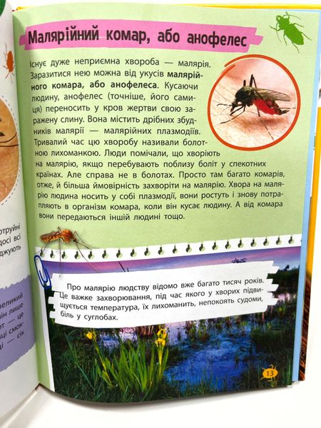 Мініенциклопедія.Комахи та павуки Мініенциклопедія.Комахи та павуки фото