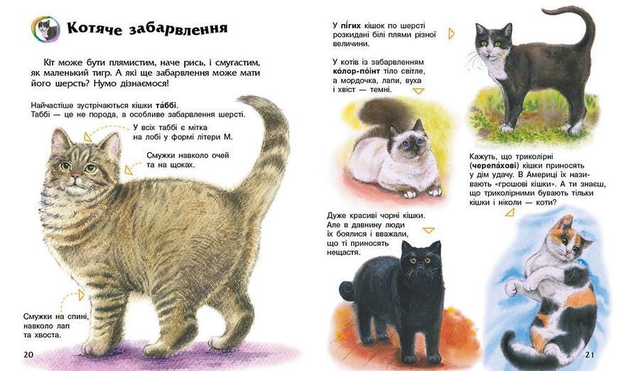 Книга "Енциклопедія дошкільника: Коти" Книга "Енциклопедія дошкільника: Коти" фото