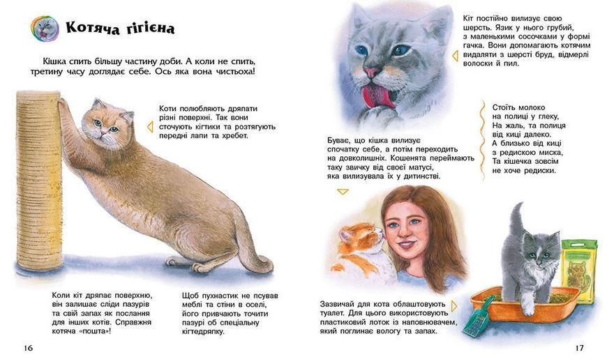 Книга "Енциклопедія дошкільника: Коти" Книга "Енциклопедія дошкільника: Коти" фото
