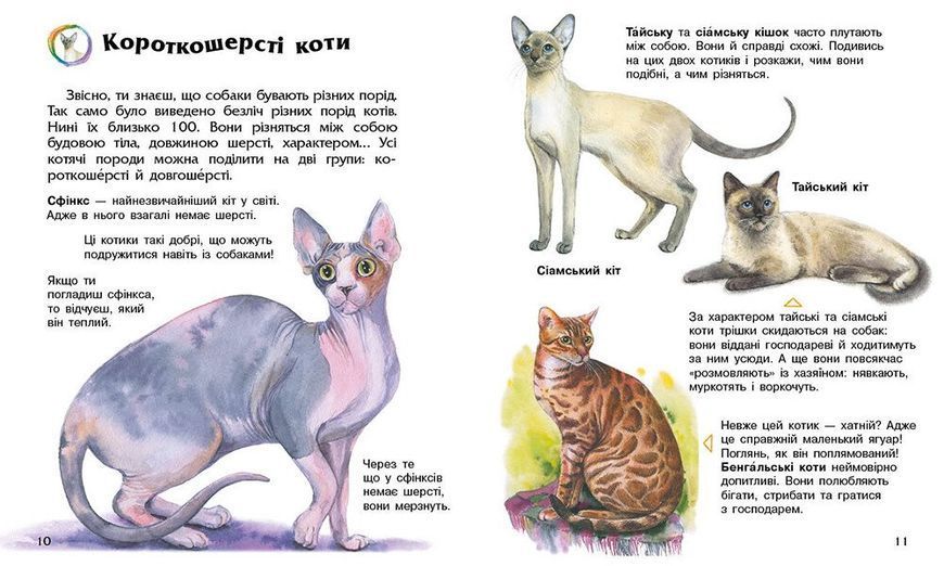 Книга "Енциклопедія дошкільника: Коти" Книга "Енциклопедія дошкільника: Коти" фото