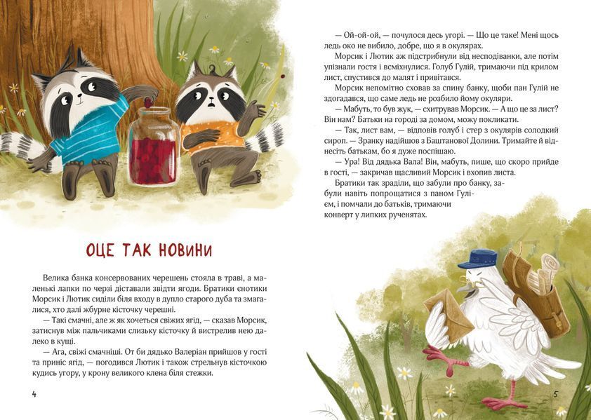 Книга "Шалене літо єнотів-бешкетників. Подорож до Баштанової долини"/ Юлія Олефір Книга "Шалене літо єнотів-бешкетників. Подорож до Баштанової долини"/ Юлія Олефір фото